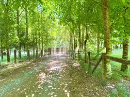  Land for sale in Chile, Villarrica, Cautin, Araucania, Chile