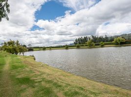 3 Habitación Villa en venta en Colombia, Chia, Cundinamarca, Colombia