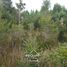  Terreno (Parcela) en venta en Chile, Quemchi, Chiloé, Los Lagos, Chile