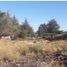  Terreno (Parcela) en venta en Maipo, Santiago, Paine, Maipo