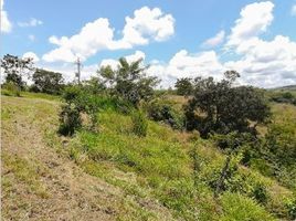  Terreno (Parcela) en venta en Pereira, Risaralda, Pereira