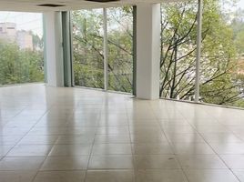 100 m² Office for rent in Benito Juarez, Ciudad de México, Benito Juarez