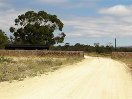  Land for sale in Chile, Coquimbo, Elqui, Coquimbo, Chile