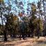 Land for sale in Chile, Coquimbo, Elqui, Coquimbo, Chile