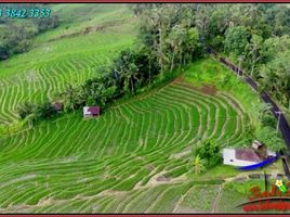  Land for sale in Belimbing Rice Terraces, Pupuan, Pupuan