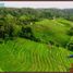  Terrain for sale in Pupuan, Tabanan, Pupuan