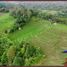  Terrain for sale in Pupuan, Tabanan, Pupuan