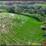  Terrain for sale in Belimbing Rice Terraces, Pupuan, Pupuan