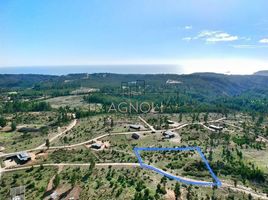  Terreno (Parcela) en venta en Cardenal Caro, Libertador General Bernardo O'Higgins, Navidad, Cardenal Caro