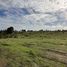  Terreno (Parcela) en venta en Cardenal Caro, Libertador General Bernardo O'Higgins, La Estrella, Cardenal Caro