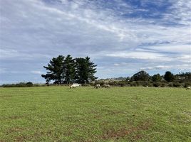  Terreno (Parcela) en venta en Cardenal Caro, Libertador General Bernardo O'Higgins, La Estrella, Cardenal Caro