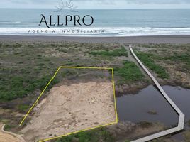  Terreno (Parcela) en venta en Cardenal Caro, Libertador General Bernardo O'Higgins, Pichilemu, Cardenal Caro