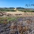  Terreno (Parcela) en venta en Cardenal Caro, Libertador General Bernardo O'Higgins, Pichilemu, Cardenal Caro