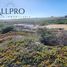  Terreno (Parcela) en venta en Cardenal Caro, Libertador General Bernardo O'Higgins, Pichilemu, Cardenal Caro