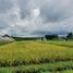  Terreno (Parcela) en venta en Klojen, East Jawa, Klojen