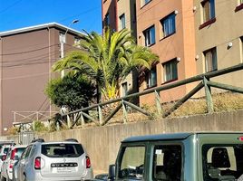 2 Bedroom Apartment for sale in Constitucion, Talca, Constitucion