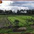  Tanah for sale in Kerambitan, Tabanan, Kerambitan