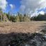  Terrain for sale in Llanquihue, Los Lagos, Puerto Montt, Llanquihue