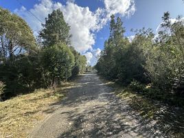  Terrain for sale in Llanquihue, Los Lagos, Puerto Montt, Llanquihue