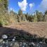  Terrain for sale in Llanquihue, Los Lagos, Puerto Montt, Llanquihue