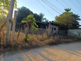  Terreno (Parcela) en venta en Atoyac De Alvarez, Guerrero, Atoyac De Alvarez