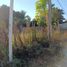  Terreno (Parcela) en venta en Atoyac De Alvarez, Guerrero, Atoyac De Alvarez