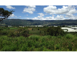 Terrain à vendre à Ixtapan De La Sal, Mexico, Ixtapan De La Sal
