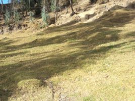  Land for sale in Pichincha, Alangasi, Quito, Pichincha