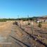 在Maule出售的 土地, Cauquenes, Cauquenes, Maule