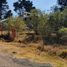  Terreno (Parcela) en venta en Tlalpan, Ciudad de México, Tlalpan