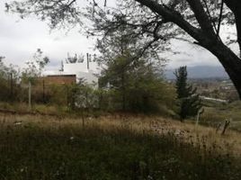  Land for sale in Tumbaco, Quito, Tumbaco