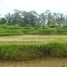  Land for sale in Tampak Siring, Gianyar, Tampak Siring