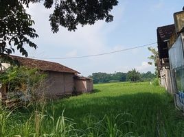  Terreno (Parcela) en venta en Seyegan, Yogyakarta, Seyegan