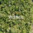  Land for sale in Jose Azueta, Guerrero, Jose Azueta