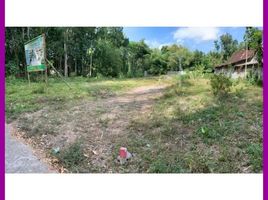  Land for sale in Manisrenggo, Klaten, Manisrenggo