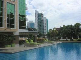 2 Bedroom Apartment for rent at The Padgett Place, Cebu City, Cebu, Central Visayas