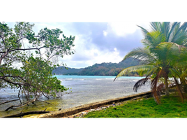  Terreno (Parcela) en venta en Garrote, Portobelo, Garrote