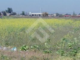  Terreno (Parcela) en venta en Chacabuco, Santiago, Colina, Chacabuco