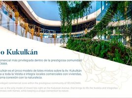  Terreno (Parcela) en venta en Cozumel, Quintana Roo, Cozumel