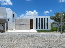 Maison 3 chambre à vendre à Merida, Yucatan, Merida