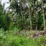  Land for sale in Davao del Sur, Davao, Davao City, Davao del Sur