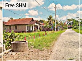  Land for sale in Banyuwangi, East Jawa, Gambiran, Banyuwangi