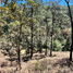  Terreno (Parcela) en venta en Mazamitla, Jalisco, Mazamitla