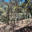  Terreno (Parcela) en venta en Mazamitla, Jalisco, Mazamitla