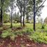  Land for sale in Chile, Mariquina, Valdivia, Los Rios, Chile