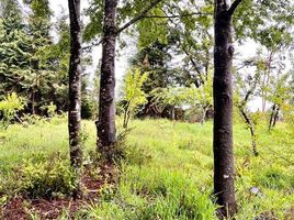  Land for sale in Chile, Mariquina, Valdivia, Los Rios, Chile