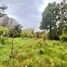  Land for sale in Chile, Mariquina, Valdivia, Los Rios, Chile