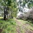  Land for sale in Chile, Mariquina, Valdivia, Los Rios, Chile