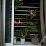 2 Habitación Apartamento en venta en An Phu, Ho Chi Minh City, An Phu, District 2, Ho Chi Minh City, Vietnam