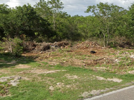  Grundstück zu verkaufen in Kinchil, Yucatan, Kinchil